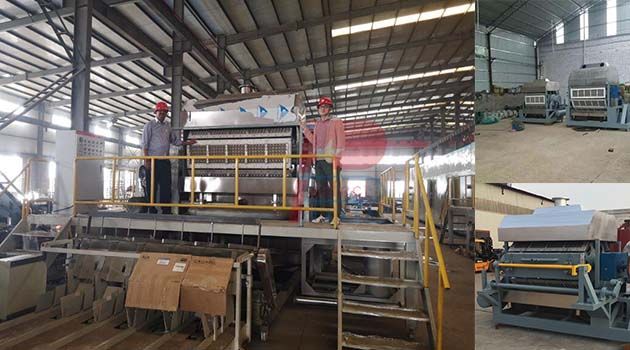 Malaysia client egg tray machine