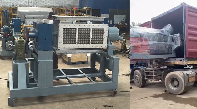 egg tray molding machine