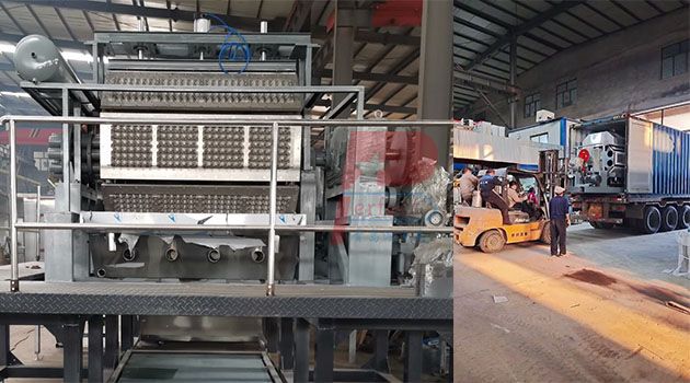 egg tray molding machine