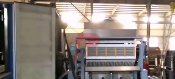 Cameroon client 5500 pieces per hour capacity auto egg tray production line finished shipment