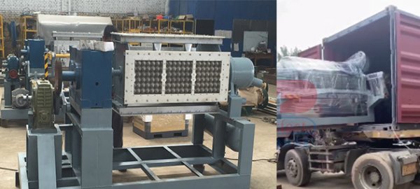 Economic rotary drum egg holder tray making machine shipped to Middle East