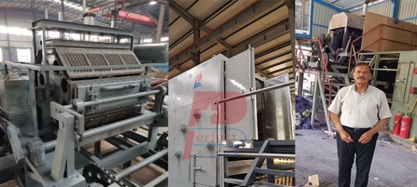 China best 8 sides auto egg tray making machine popular in Iraq UAE Russia