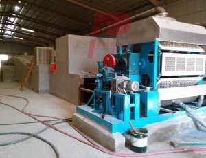 In India Russia Egypt paper egg tray production machine brick oven dryer