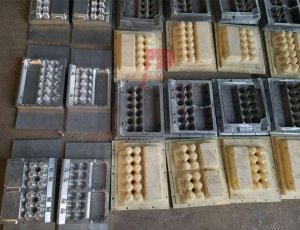 Paper pulp egg tray apple tray coffee cup holder tray shoe tree aluminum forming moulds