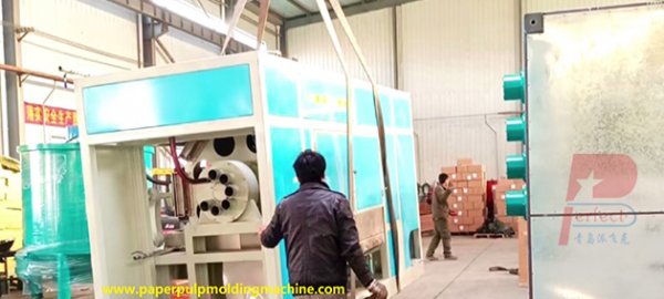 Turkey client 6-8 automatic egg tray apple tray making machine finished shipment 