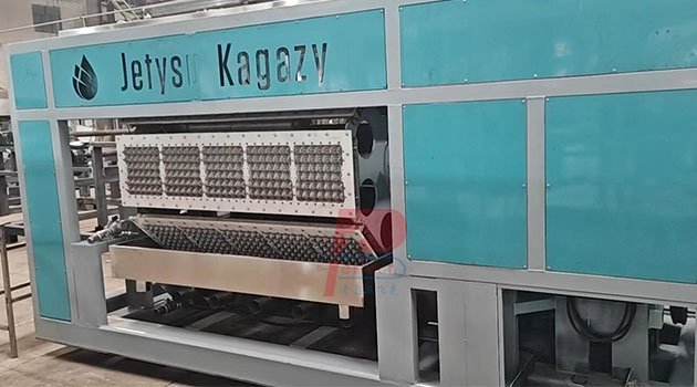 egg tray machine manufacturer