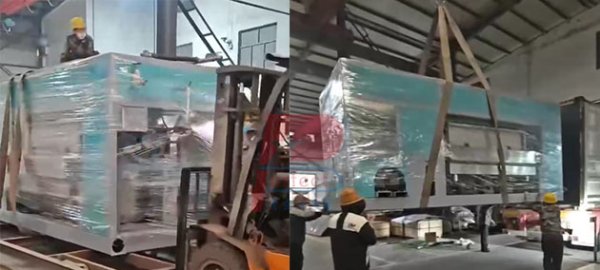 6000 pieces per hour automatic egg tray making machine shipped to Egypt