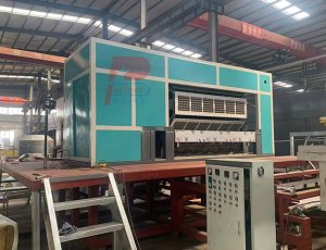 Automatic Egg Box Tray Molding Machine