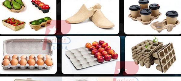 An Excellent Investment Idea of 2026 Production of Renewable Industrial Packaging and Egg Trays
