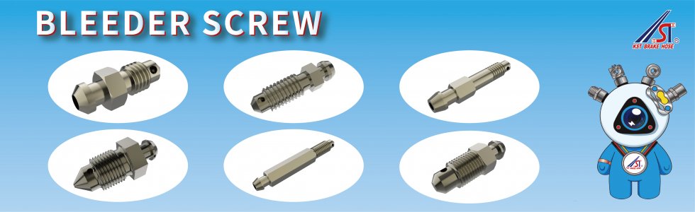 Bleeder Screw