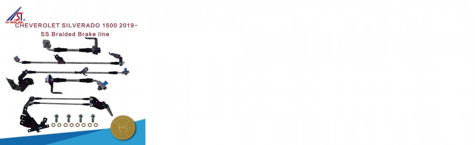 CHEVEROLET SILVERADO 1500 2019-