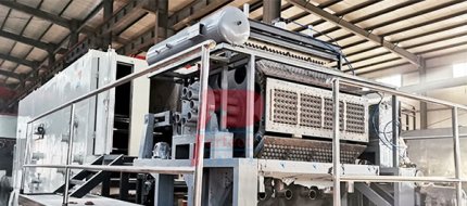 máquina automática para fabricar bandejas de huevos