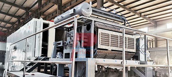 máquina automática para fabricar bandejas de huevos
