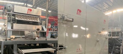 máquina para fabricar bandejas de papel para manzanas