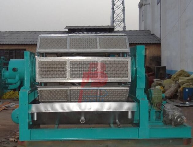 Máquina automática para fabricar bandejas planas con soporte para manzanas y pulpa de papel - 8