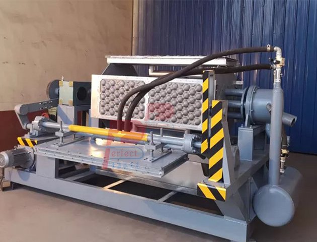 Máquina automática para fabricar bandejas planas con soporte para manzanas y pulpa de papel - 8