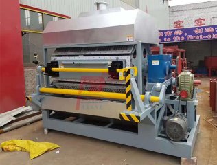 Máquina automática para fabricar bandejas planas con soporte para manzanas y pulpa de papel - 8