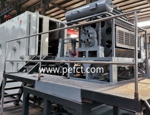Popular en América del Sur Máquina automática para fabricar bandejas para cajas de huevos