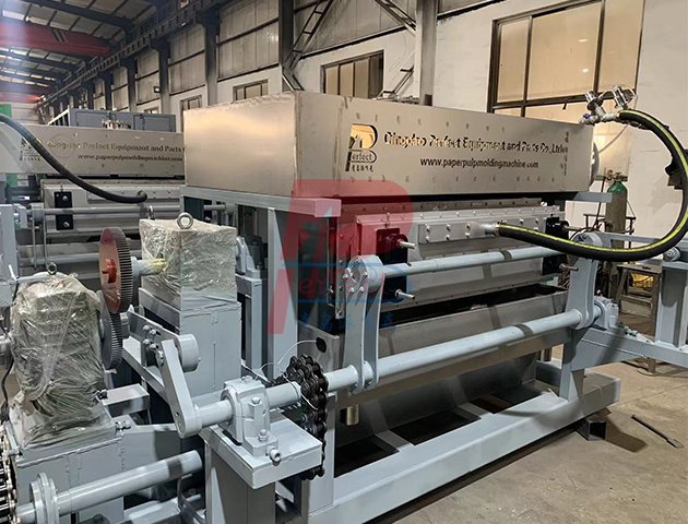 Máquina automática para fabricar bandejas de huevos de 3000 piezas por hora - 8