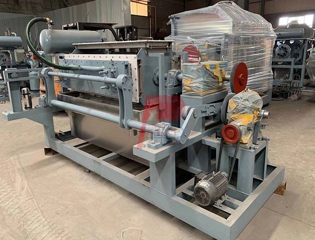 Máquina automática para fabricar bandejas de huevos de 3000 piezas por hora - 8