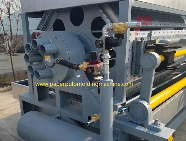 Popular en América del Sur Máquina automática para fabricar bandejas para cajas de huevos - 8