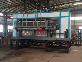 Línea de producción automática de bandejas de huevos de papel de 7000 piezas por hora - 8