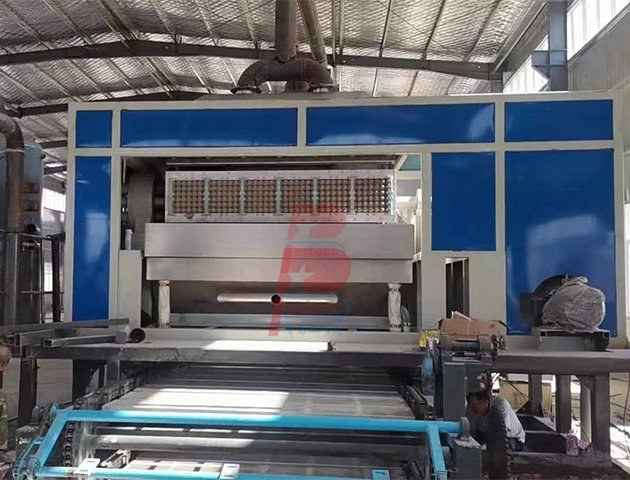 Línea de producción automática de bandejas de huevos de papel de 7000 piezas por hora - 8