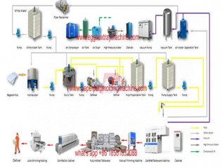Máquina para fabricar platos de vajilla caja de hamburguesas con tapa de taza fiambrera moldeada de fibra de pulpa - 8