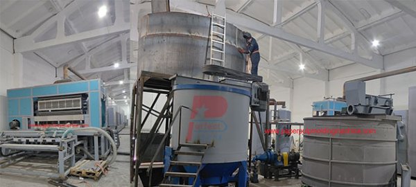 Instalación finalizada de la máquina para fabricar bandejas de huevos automáticas de 7000 piezas por hora