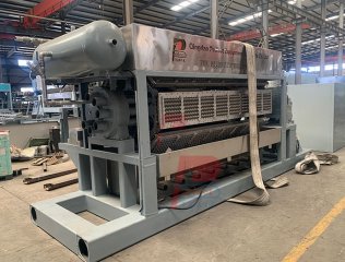 Máquina Automática para Bandejas de Huevos - 8