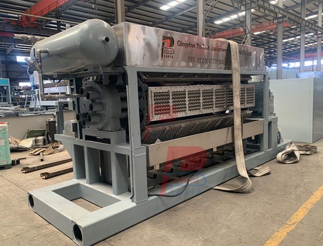 Máquina Automática para Bandejas de Huevos - 8