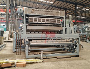 Máquina Automática para Bandejas de Huevos