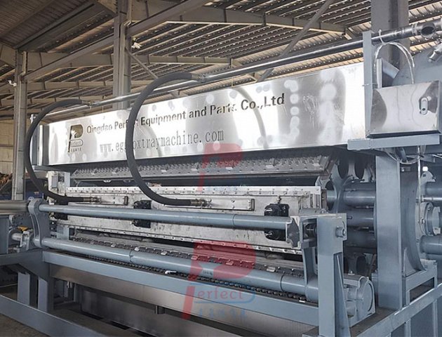 Máquina Automática para Bandejas de Huevos - 8