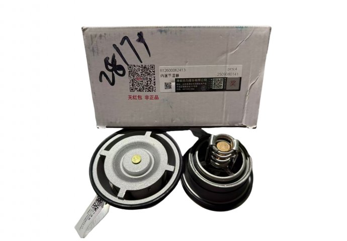 thermostat 612600062413 