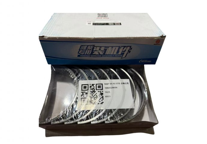 main bearing upper 1002520036 