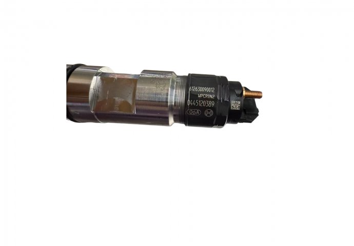 injector 0445120389/612630090012