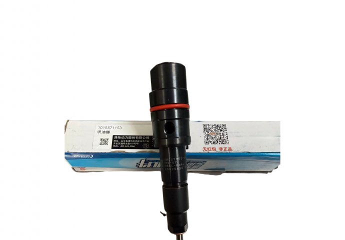 Fuel injector 1015571153/2504010252