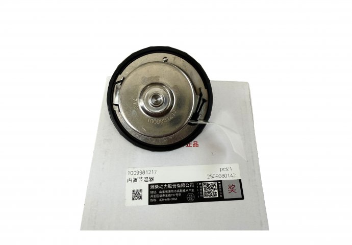 thermostat 1009981217