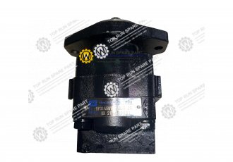 brake pump 2250-77-01000/HP31A597VTAB05-25