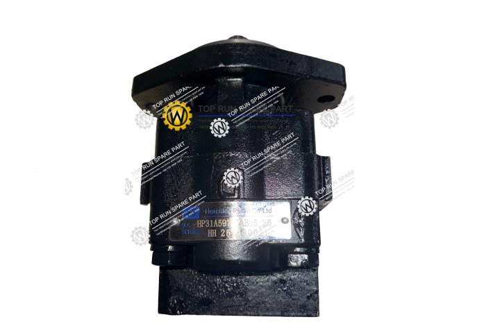 brake pump 2250-77-01000/HP31A597VTAB05-25