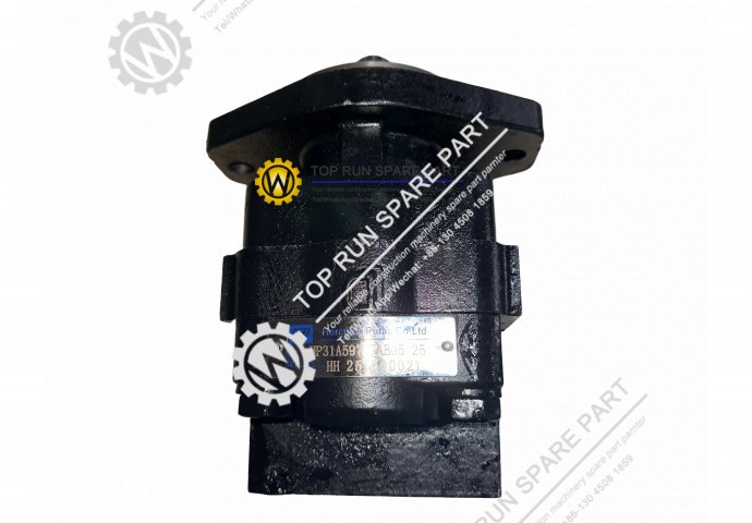brake pump 2250-77-01000/HP31A597VTAB05-25