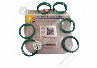 Dust ring AY5050P5008 B230101000067 SANY