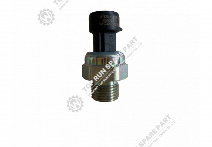 air pressure sensor  WG9727710002
