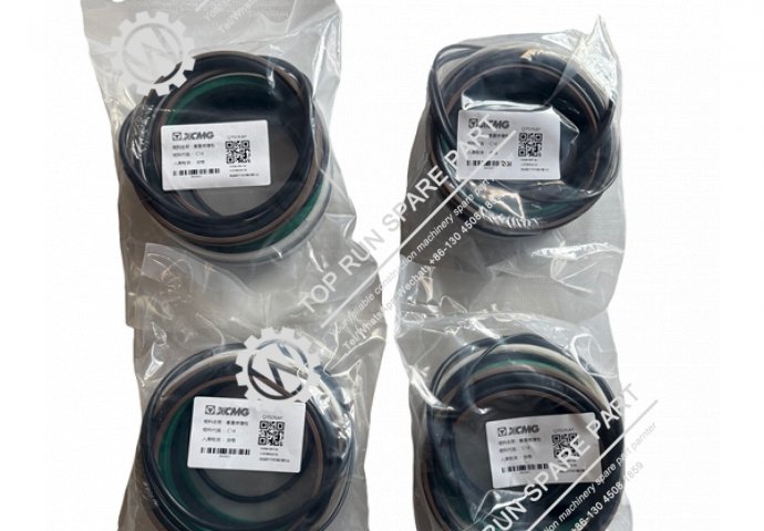 Outrigger cylinder seal kit  QY55KA-Y C14 XCMG