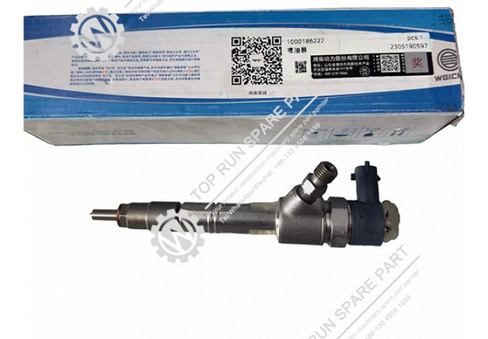 injector 1000186222 WEICHAI