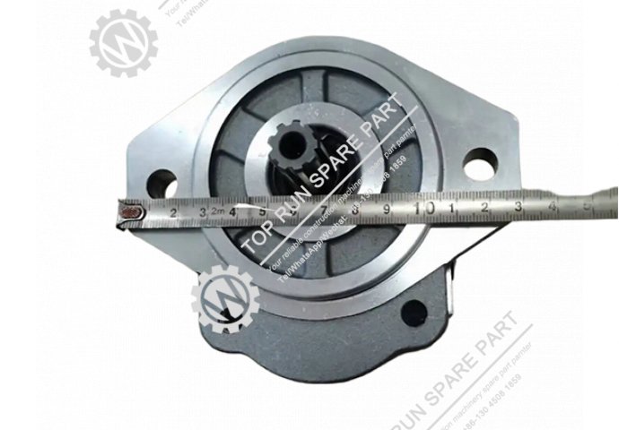 hydraulic pump  1010000281