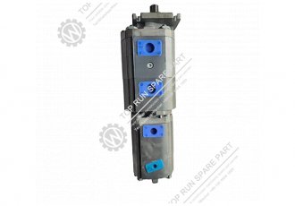 hydraulic pump  1010000281