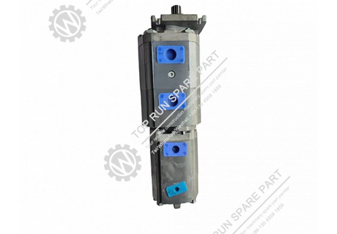 hydraulic pump  1010000281