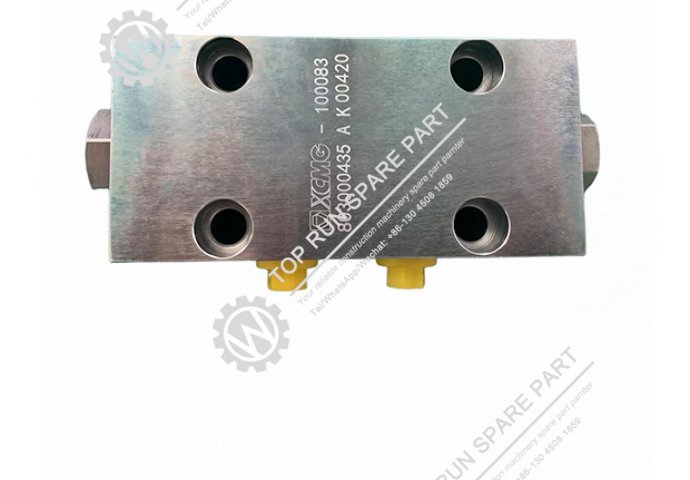 Two way Lock Hydraulic valve 803000435