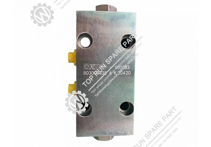 Two way Lock Hydraulic valve 803000435